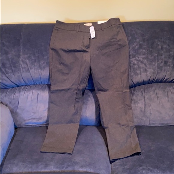 Gray Ann Taylor Loft Pants - Picture 1 of 1